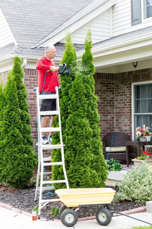 Large Tree Trimming