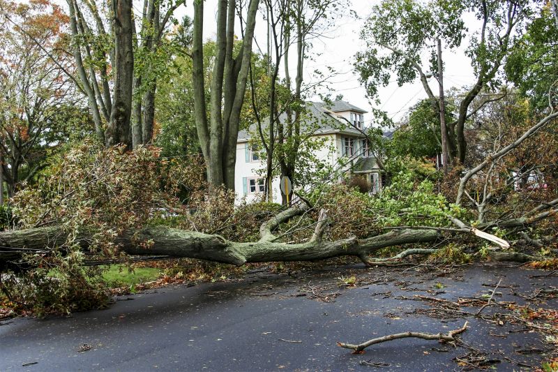 Storm Damage Tree Site