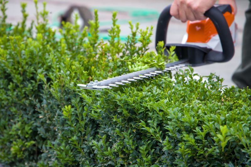 Hedge Shaping Service in Ventura County, CA