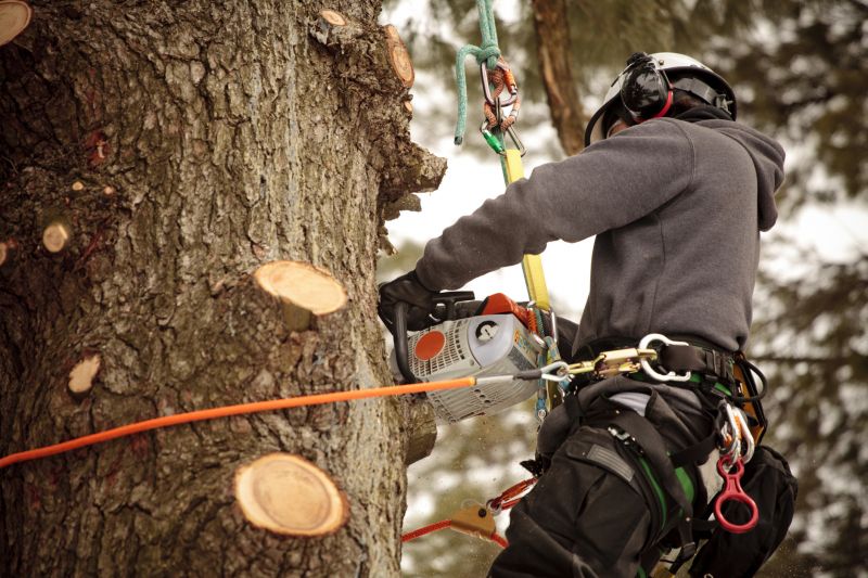 Trimming Equipment in Use